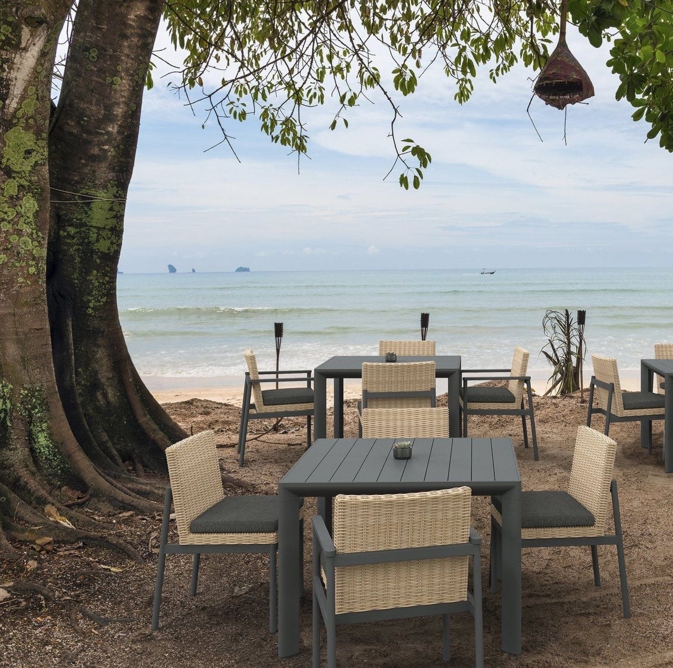 Terra Dining Chair (Set of 2) Dining Chair