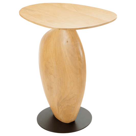 Ravi End Table End Table RAVI001-242013 889292830621