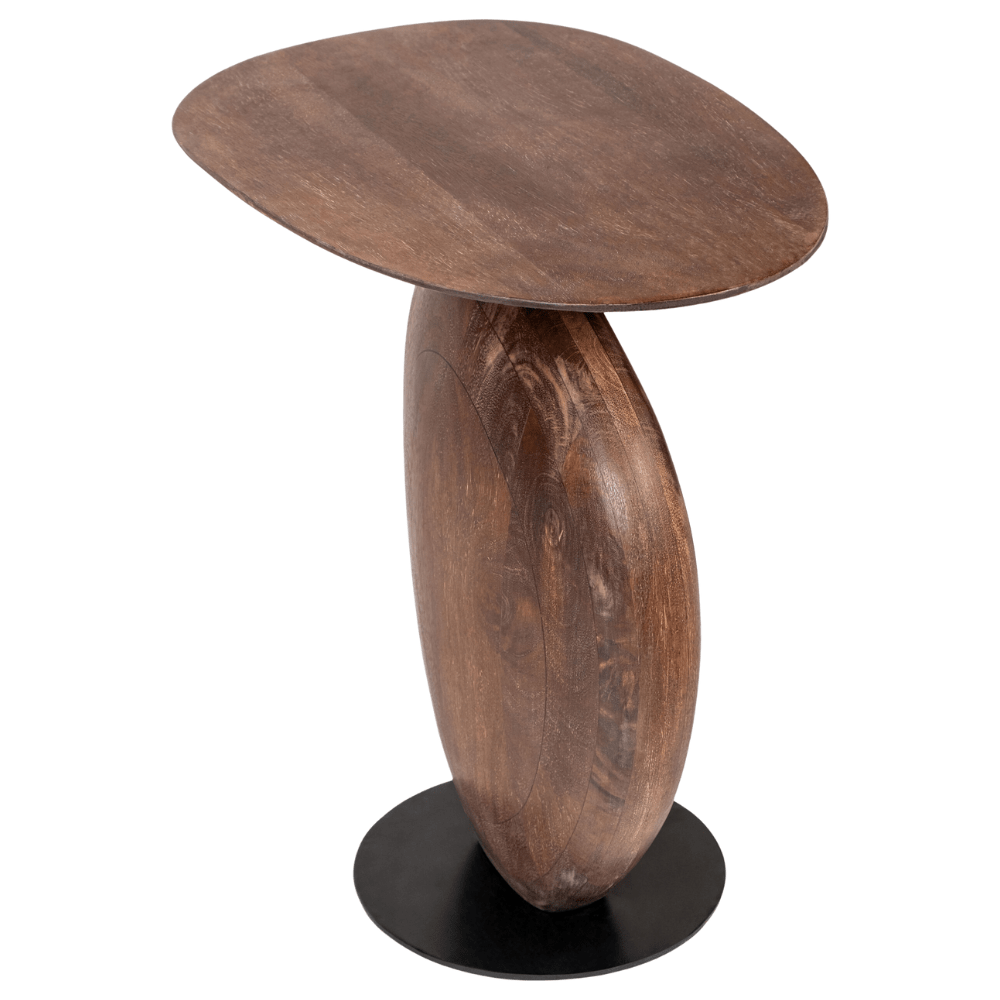 Ravi End Table End Table RAVI002-242013 889292830638