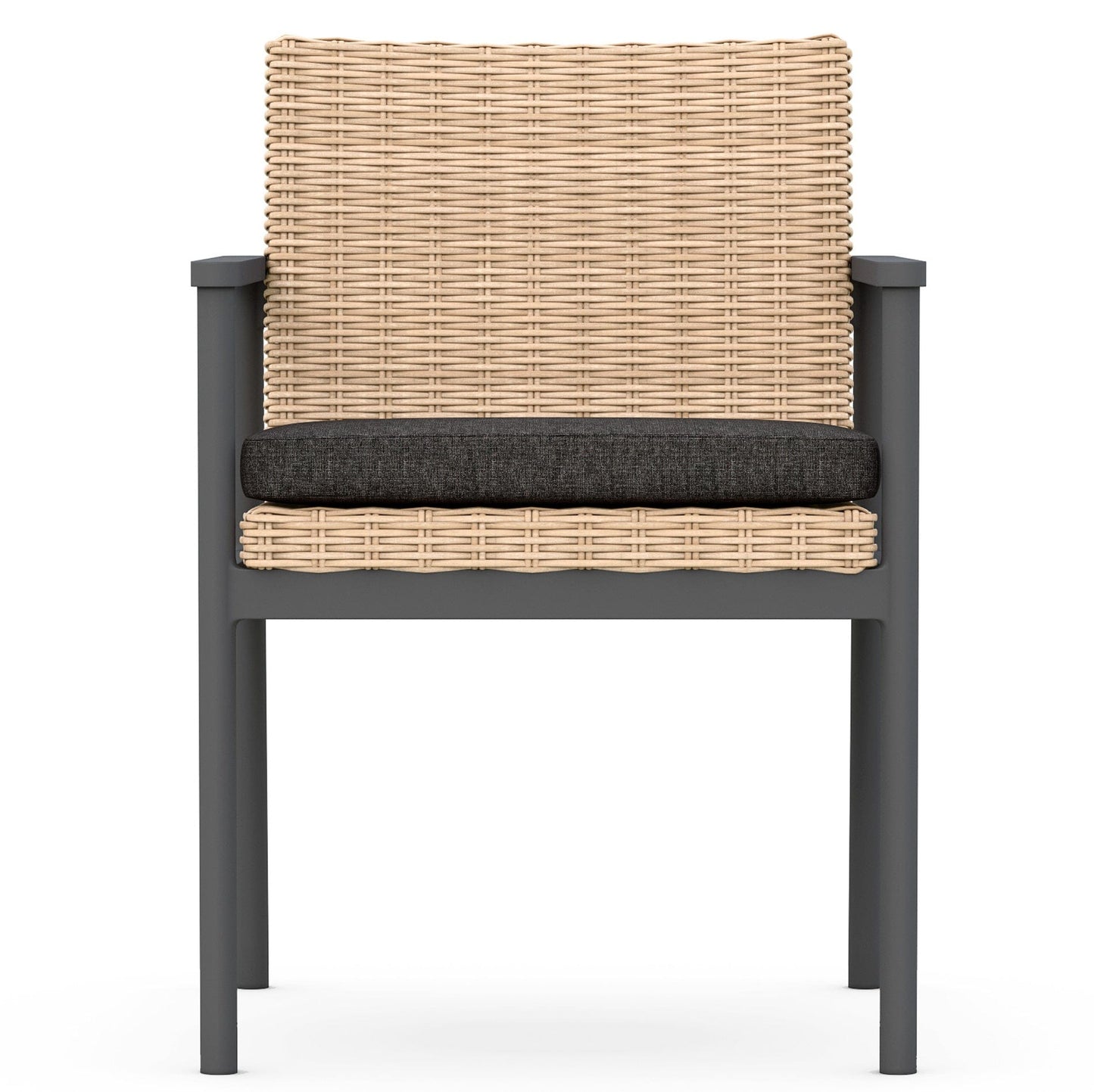 Terra Dining Chair (Set of 2) Dining Chair